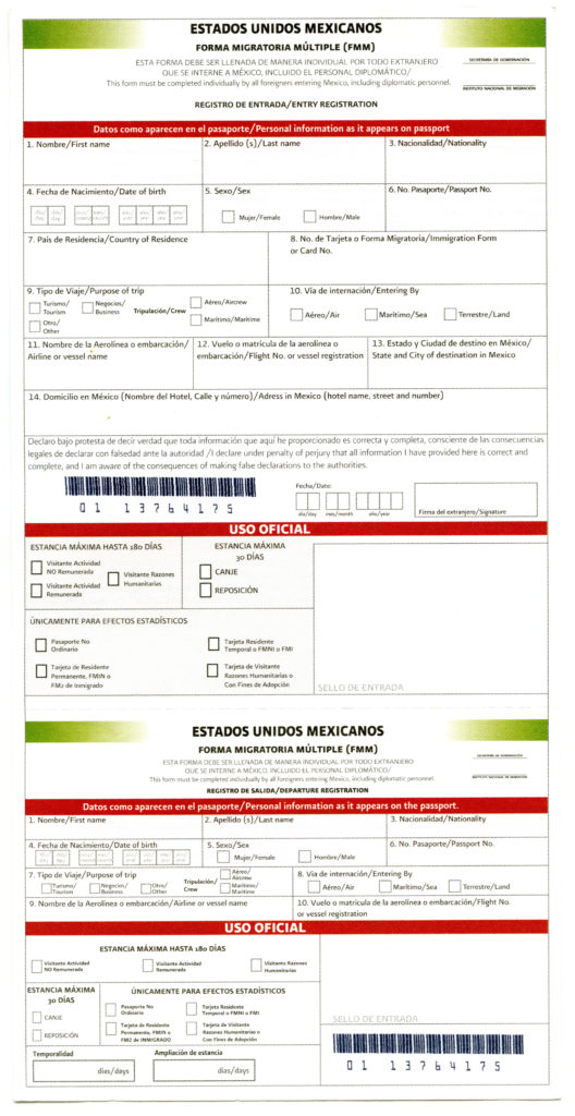 Mexican Immigration Form – Authentic Spanish Materials